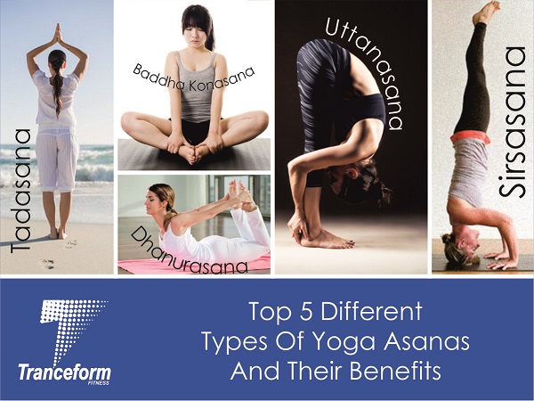 Best Yoga Classes In Pune top 5 yoga asanas tranceformfitness.com